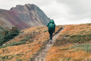 womens backpack