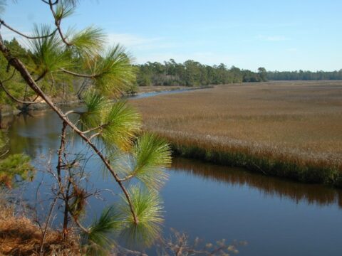 awendaw hike