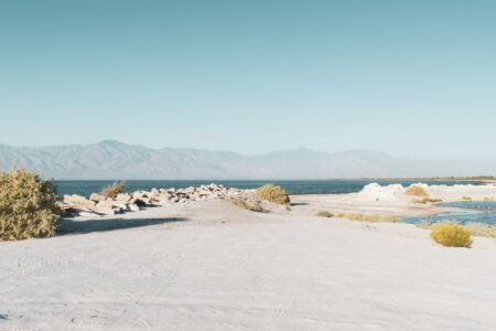 salton sea