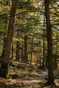 red river gorge