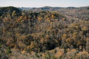 red river gorge