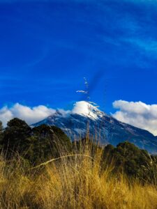 Orizaba Mountains Forest