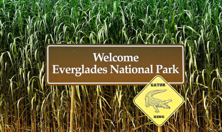 Everglades national Park