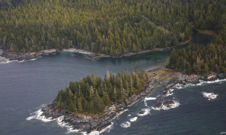 tongass