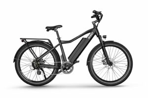 ebike type