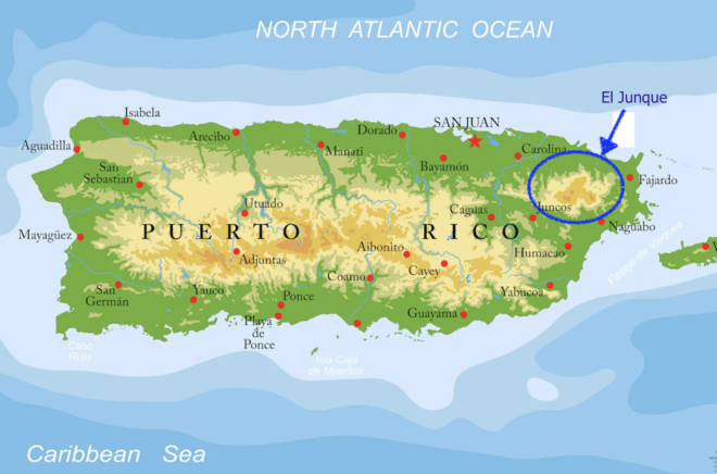 Visiting El Yunque Forest in Puerto - Screenshot 2024 03 30 At 9.17.03%E2%80%AFAM 1 E1711815822225 