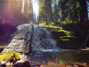 Bozeman hikes