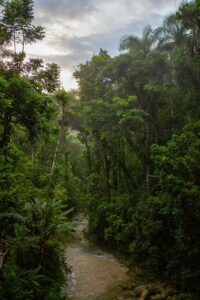 El Yunque