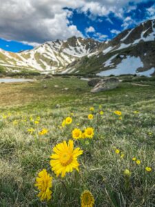 Herman Gulch trail