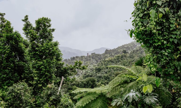 El Yunque
