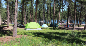 black hills campground