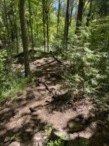 trail door county